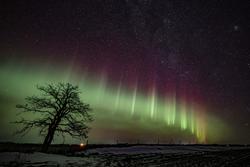 Aurora observation 2026-09-28
