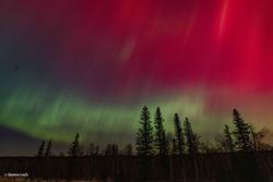 Aurora observation 2026-10-01