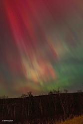 Aurora observation 2026-10-01